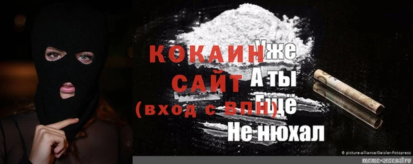 ешки Гусев