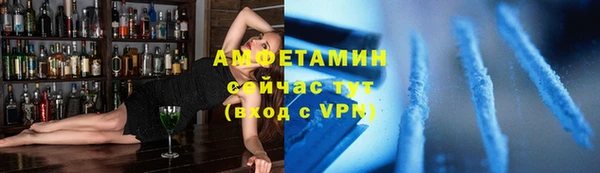 мдпв Дмитриев