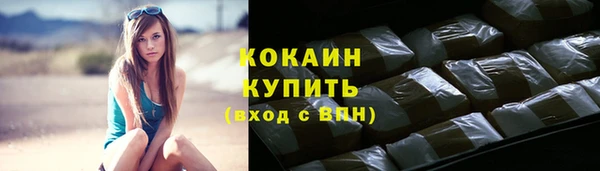 мдпв Дмитриев