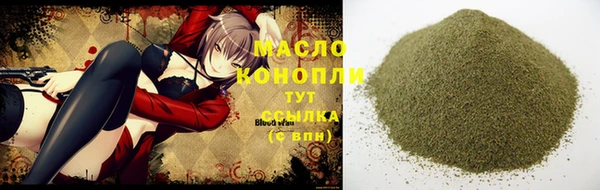 мдпв Дмитриев