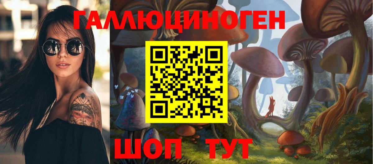 Галлюциногенные грибы Cubensis Курган