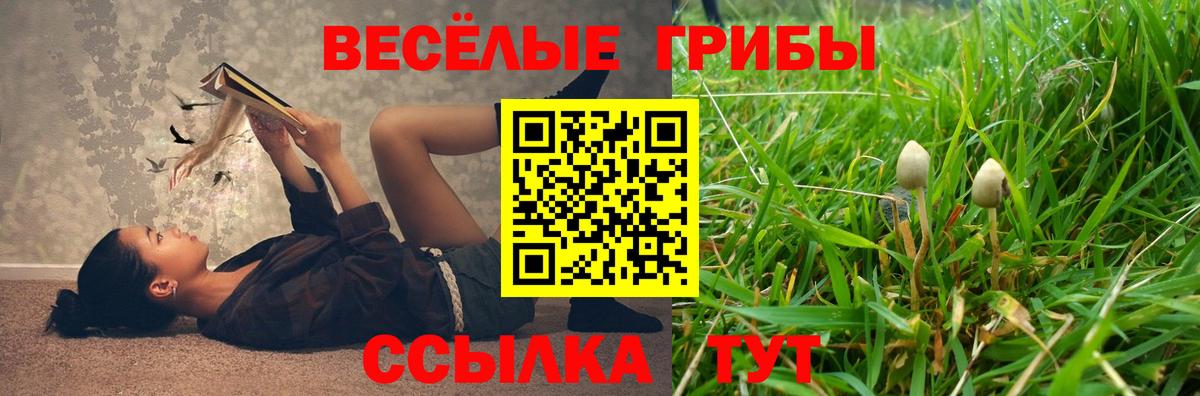 Курган  Галлюциногенные грибы MAGIC MUSHROOMS  магазин    Вход с VPN  Псилоцибиновые грибы мухоморы 