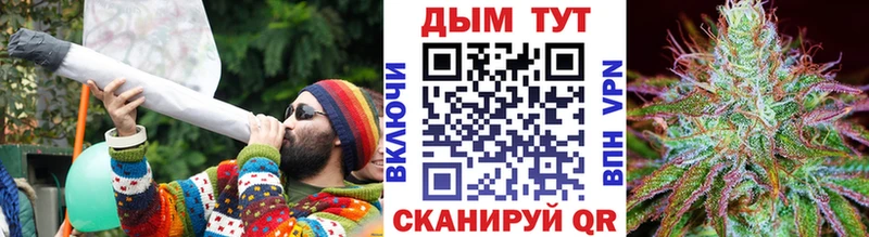 сколько стоит  Курган  Шишки марихуана ГИДРОПОН 